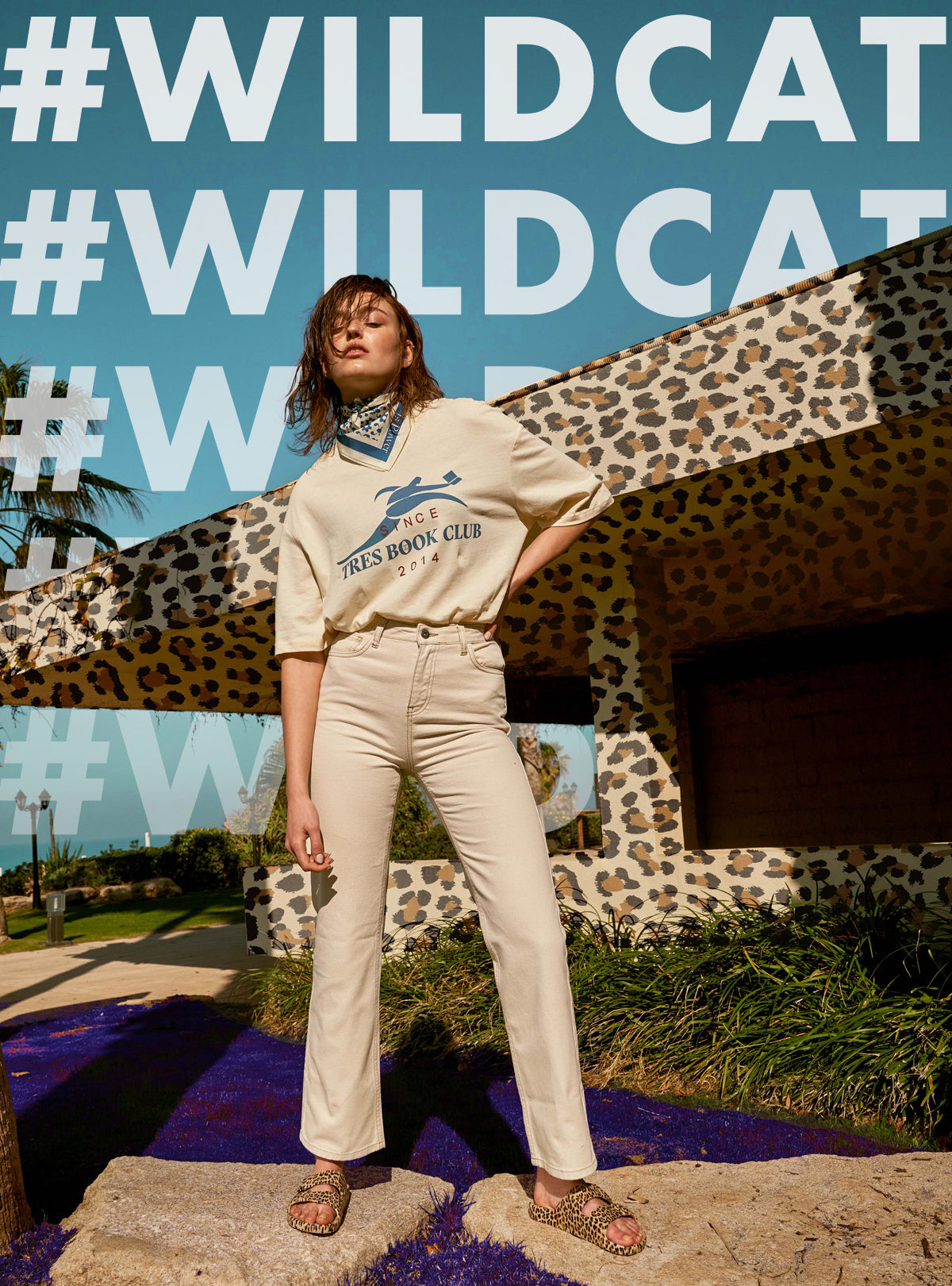 wildcat slides